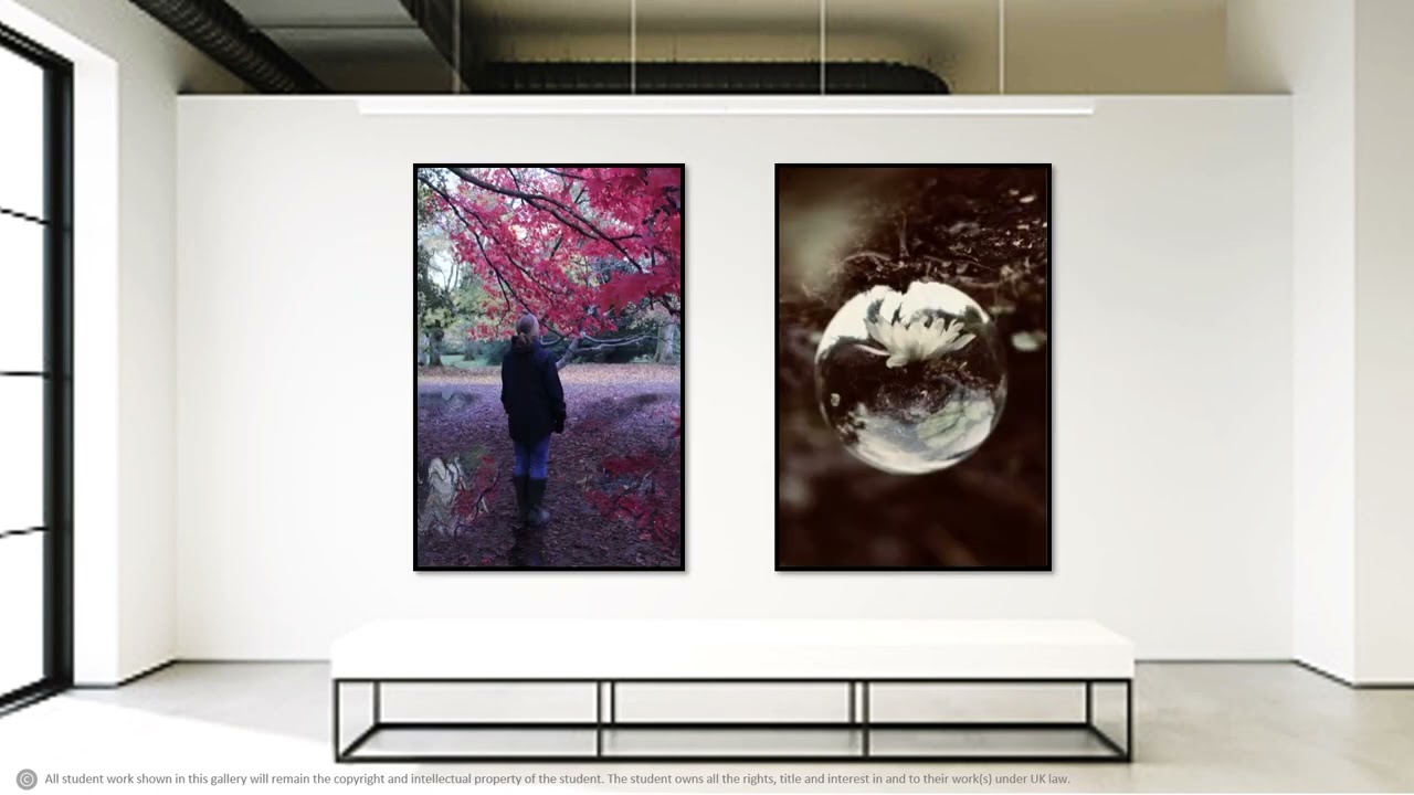 King's InterHigh Art Show 2022 – KS4 Photography Virtual Exhibition